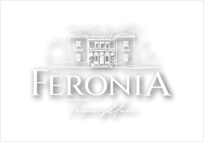 Feronia Inc.